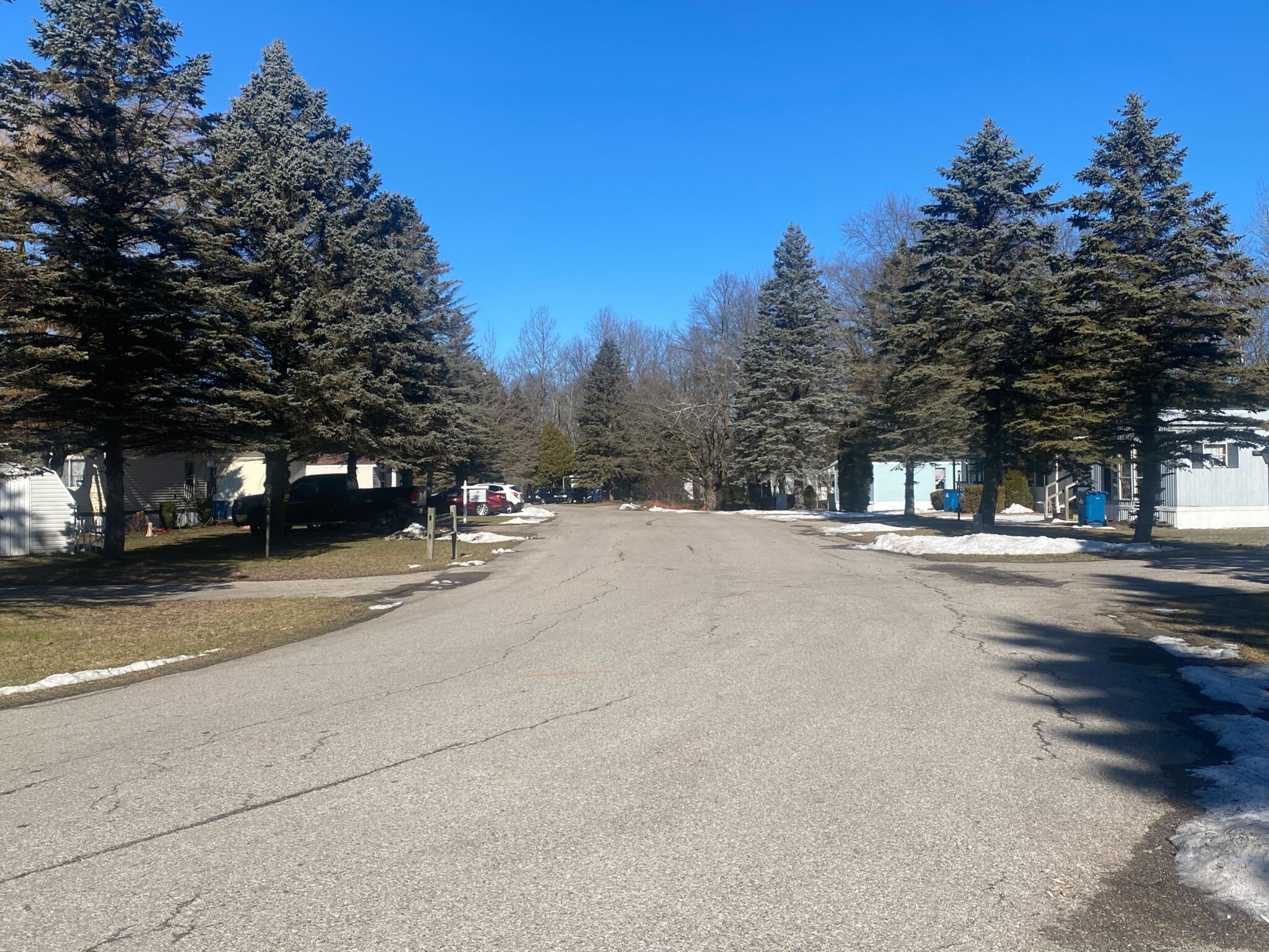 Ludington Mobile Home Park in Michigan with well-maintained mobile homes and lush surroundings