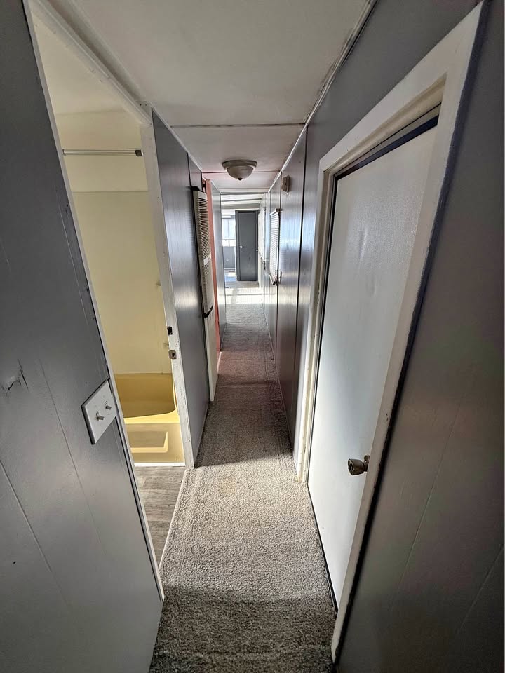 596802692_4288613544794337_6651085036709129357_n