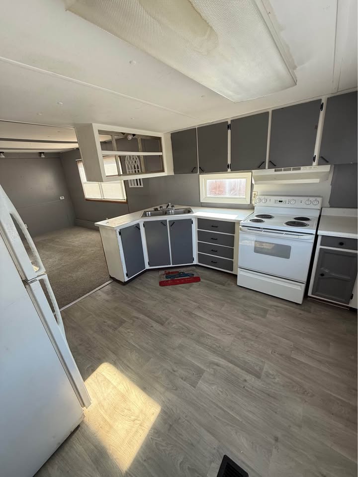 597841183_4288610048128020_7136086563995500495_n