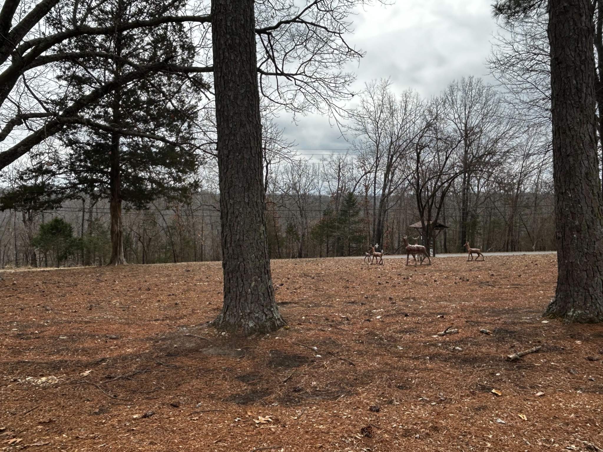 Lakeview mobile home park